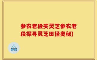 参农老段买灵芝参农老段探寻灵芝田径奥秘)
