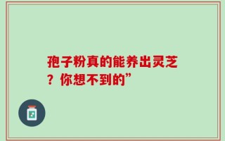 孢子粉真的能养出灵芝？你想不到的”