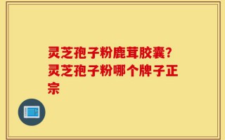 灵芝孢子粉鹿茸胶囊？灵芝孢子粉哪个牌子正宗