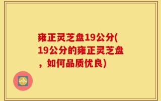 雍正灵芝盘19公分(19公分的雍正灵芝盘，如何品质优良)