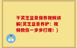 干灵芝盆景保养视频讲解(灵芝盆景养护：视频教你一步步打理！)