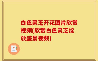 白色灵芝开花图片欣赏视频(欣赏白色灵芝绽放盛景视频)