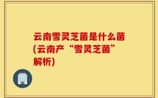 云南雪灵芝菌是什么菌(云南产“雪灵芝菌”解析)