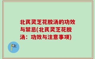 北芪灵芝花胶汤的功效与禁忌(北芪灵芝花胶汤：功效与注意事项)