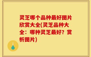 灵芝哪个品种最好图片欣赏大全(灵芝品种大全：哪种灵芝最好？赏析图片)