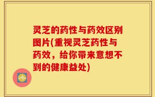 灵芝的药性与药效区别图片(重视灵芝药性与药效，给你带来意想不到的健康益处)