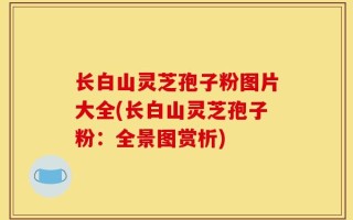 长白山灵芝孢子粉图片大全(长白山灵芝孢子粉：全景图赏析)