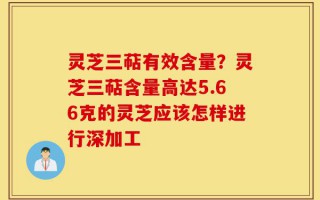 灵芝三萜有效含量？灵芝三萜含量高达5.66克的灵芝应该怎样进行深加工