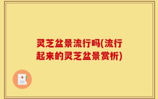 灵芝盆景流行吗(流行起来的灵芝盆景赏析)