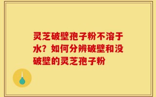 灵芝破壁孢子粉不溶于水？如何分辨破壁和没破壁的灵芝孢子粉