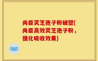 尚臣灵芝孢子粉破壁(尚臣高效灵芝孢子粉，强化吸收效果)
