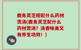 鹿角灵芝搭配什么药材煲汤(鹿角灵芝配什么药材煲汤？汤香味美又有养生功效！)