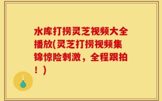 水库打捞灵芝视频大全播放(灵芝打捞视频集锦惊险刺激，全程跟拍！)