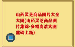 山药灵芝商品图片大全大图(山药灵芝商品图片集锦-多幅高清大图重磅上新)