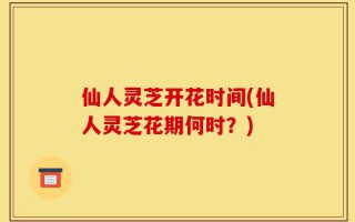 仙人灵芝开花时间(仙人灵芝花期何时？)