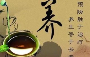 灵芝孢子粉怎么吃比较好