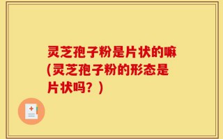 灵芝孢子粉是片状的嘛(灵芝孢子粉的形态是片状吗？)
