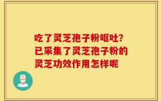 吃了灵芝孢子粉呕吐？已采集了灵芝孢子粉的灵芝功效作用怎样呢