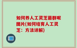 如何养人工灵芝菌群呢图片(如何培育人工灵芝：方法详解)