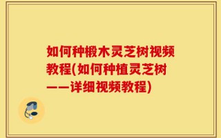 如何种椴木灵芝树视频教程(如何种植灵芝树——详细视频教程)