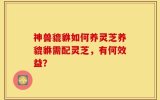 神兽貔貅如何养灵芝养貔貅需配灵芝，有何效益？