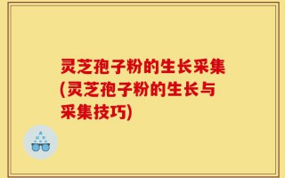 灵芝孢子粉的生长采集(灵芝孢子粉的生长与采集技巧)