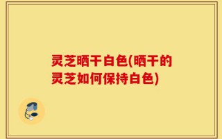 灵芝晒干白色(晒干的灵芝如何保持白色)