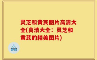 灵芝和黄芪图片高清大全(高清大全：灵芝和黄芪的精美图片)