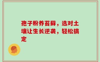 孢子粉养苔藓，选对土壤让生长逆袭，轻松搞定