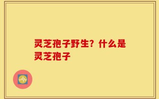 灵芝孢子野生？什么是灵芝孢子