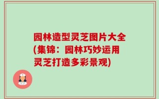 园林造型灵芝图片大全(集锦：园林巧妙运用灵芝打造多彩景观)