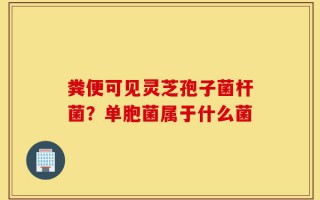 粪便可见灵芝孢子菌杆菌？单胞菌属于什么菌