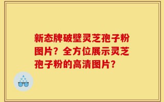新态牌破壁灵芝孢子粉图片？全方位展示灵芝孢子粉的高清图片？