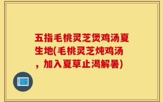 五指毛桃灵芝煲鸡汤夏生地(毛桃灵芝炖鸡汤，加入夏草止渴解暑)