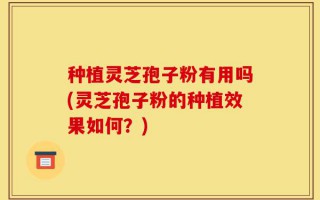 种植灵芝孢子粉有用吗(灵芝孢子粉的种植效果如何？)