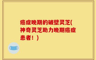 癌症晚期的破壁灵芝(神奇灵芝助力晚期癌症患者！)
