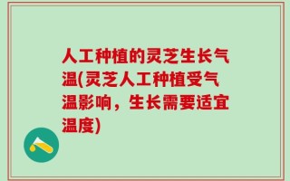 人工种植的灵芝生长气温(灵芝人工种植受气温影响，生长需要适宜温度)