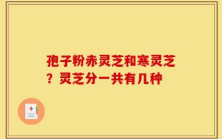 孢子粉赤灵芝和寒灵芝？灵芝分一共有几种