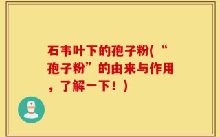 石韦叶下的孢子粉(“孢子粉”的由来与作用，了解一下！)