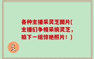 各种主播采灵芝图片(主播们争相采摘灵芝，拍下一组惊艳照片！)