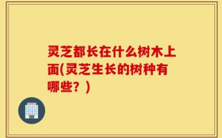 灵芝都长在什么树木上面(灵芝生长的树种有哪些？)