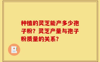 种植的灵芝能产多少孢子粉？灵芝产量与孢子粉质量的关系？
