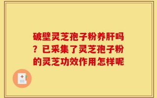破壁灵芝孢子粉养肝吗？已采集了灵芝孢子粉的灵芝功效作用怎样呢