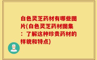 白色灵芝药材有哪些图片(白色灵芝药材图集：了解这种珍贵药材的样貌和特点)