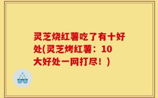灵芝烧红薯吃了有十好处(灵芝烤红薯：10大好处一网打尽！)