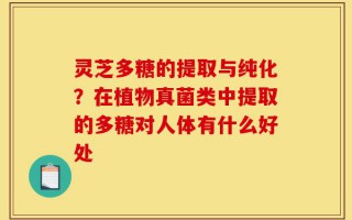 灵芝多糖的提取与纯化？在植物真菌类中提取的多糖对人体有什么好处