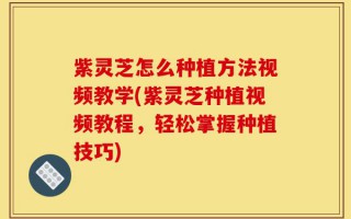 紫灵芝怎么种植方法视频教学(紫灵芝种植视频教程，轻松掌握种植技巧)