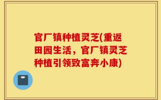 官厂镇种植灵芝(重返田园生活，官厂镇灵芝种植引领致富奔小康)