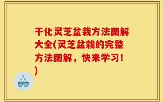 干化灵芝盆栽方法图解大全(灵芝盆栽的完整方法图解，快来学习！)