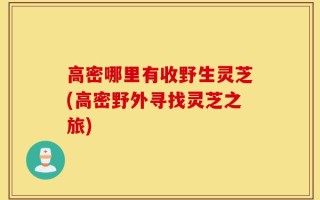 高密哪里有收野生灵芝(高密野外寻找灵芝之旅)